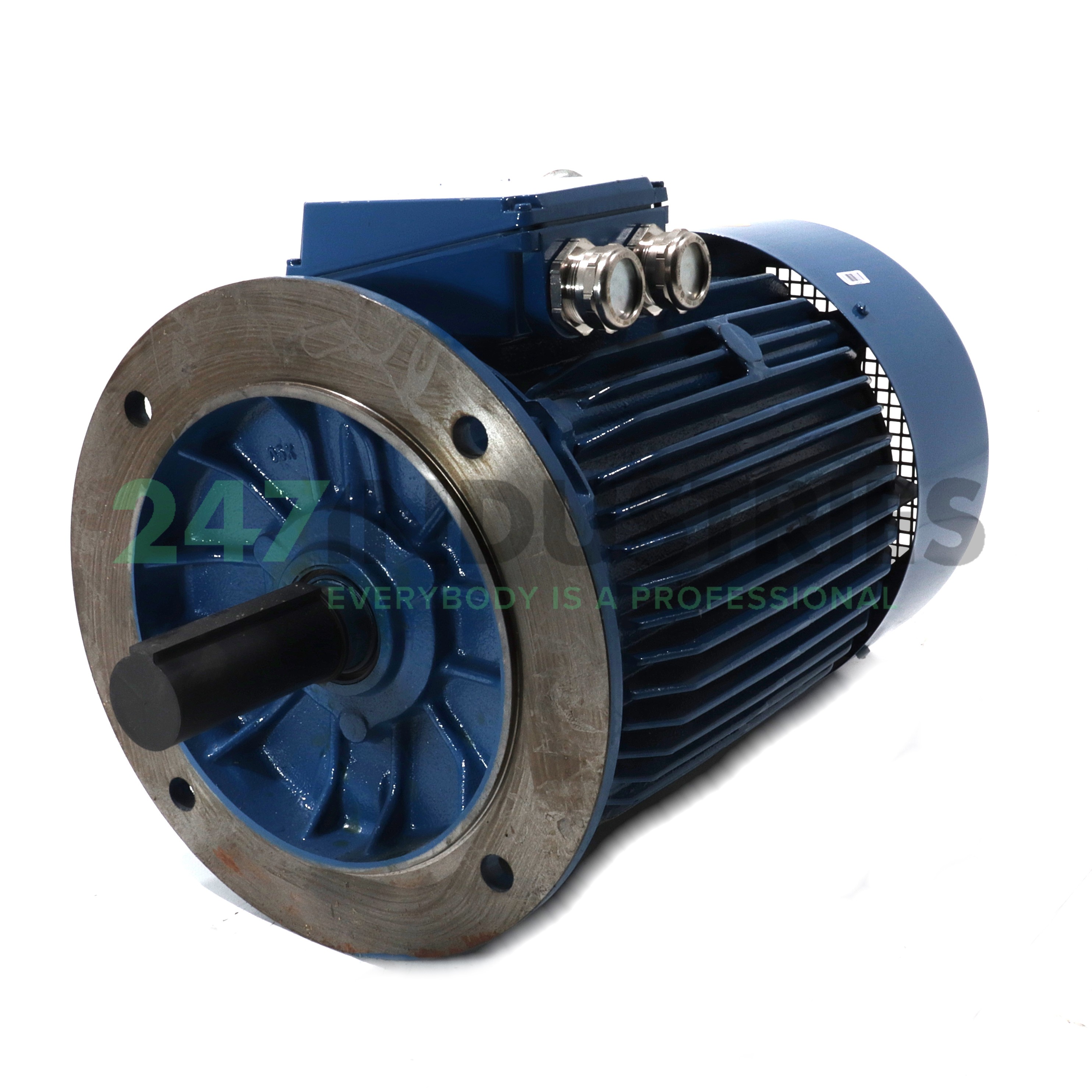 SKG160L-4-B5 Indukta Image 1