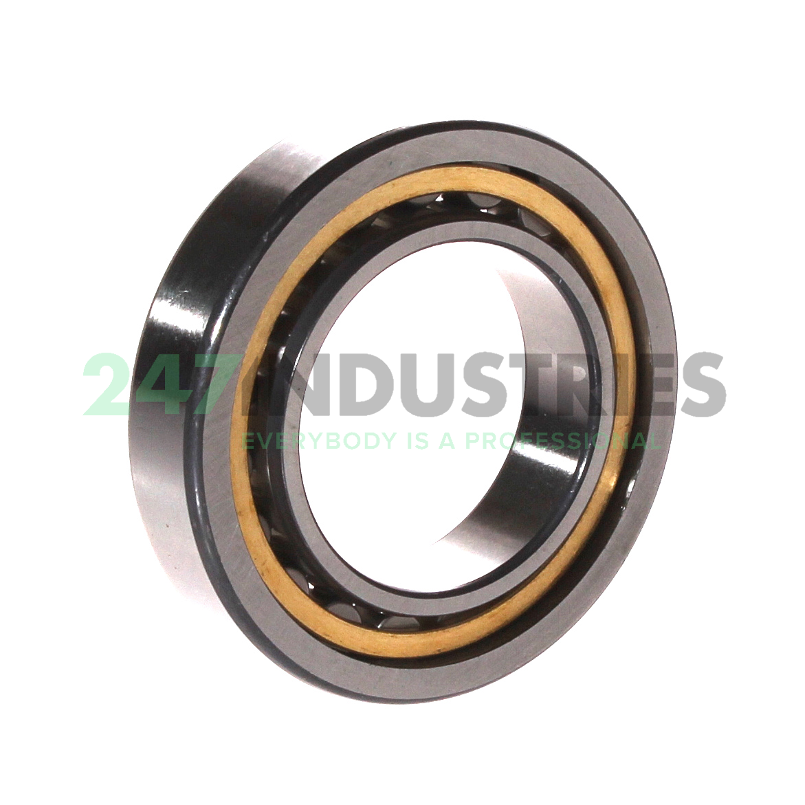 NU1008-XL-M1 FAG Image 3