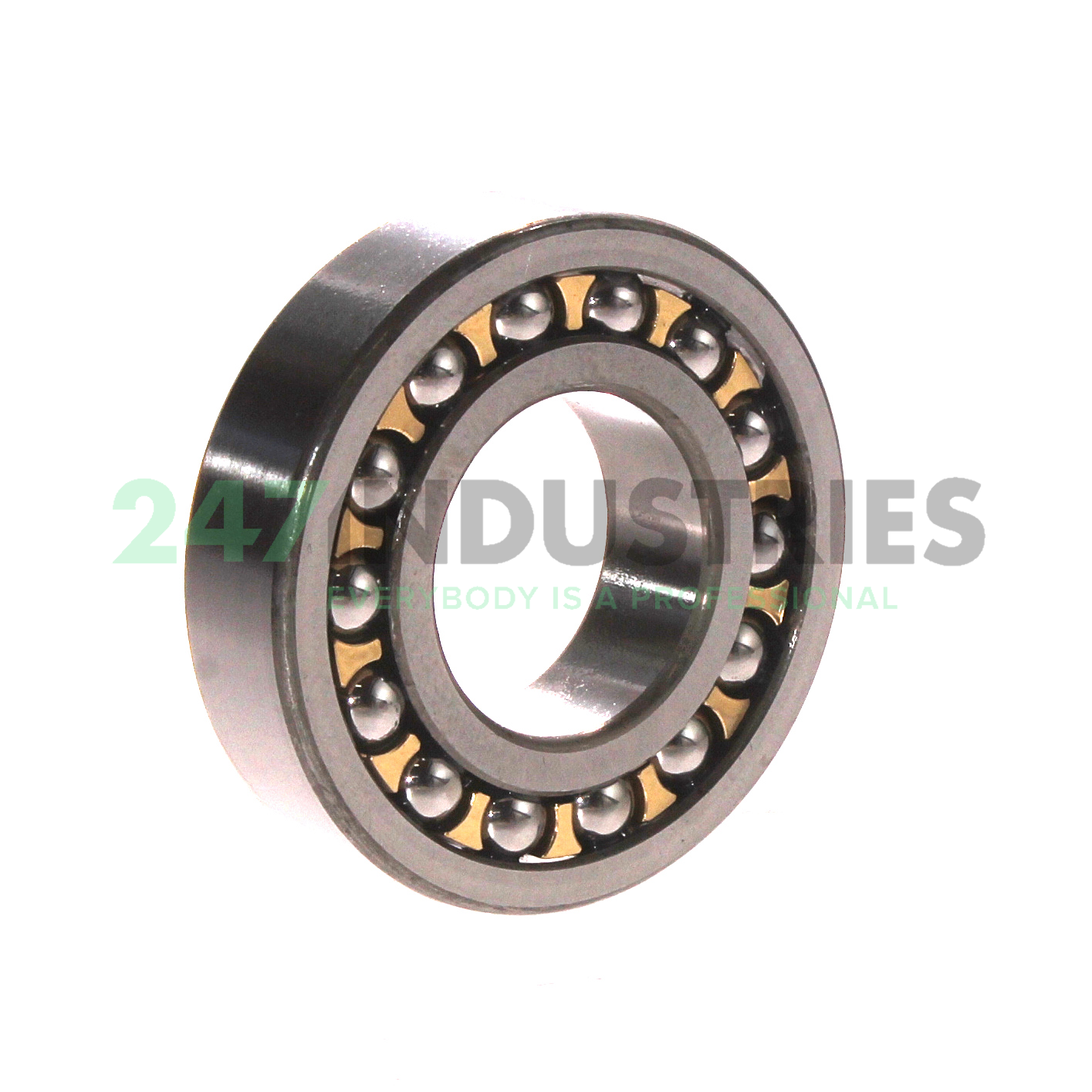 1206EM SKF Image 2