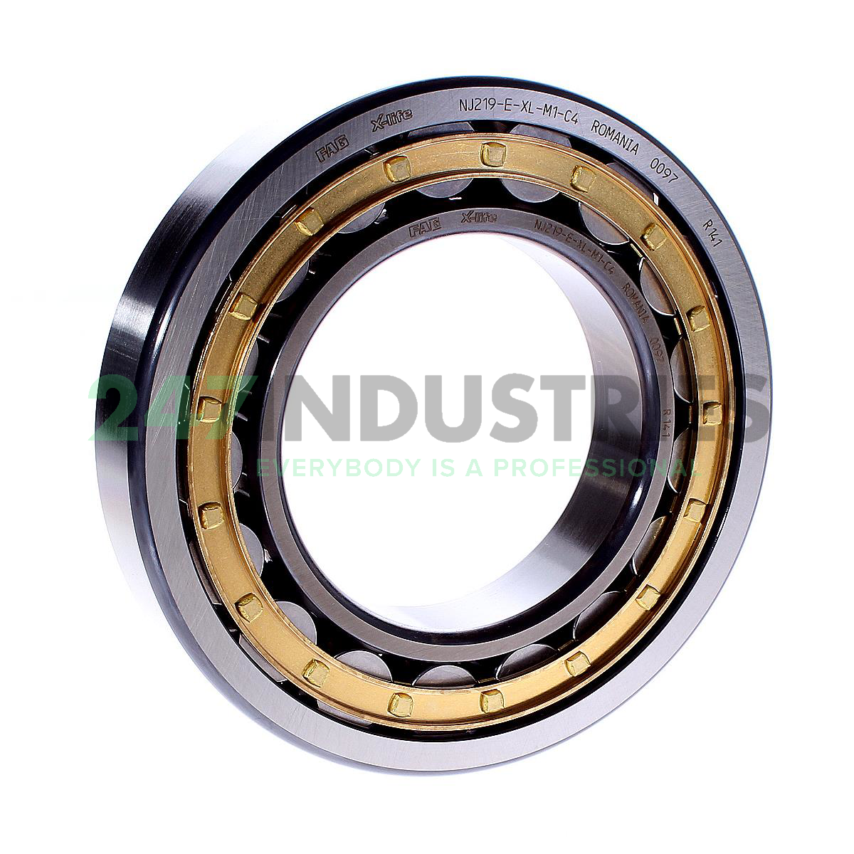 NJ219-E-XL-M1-C4 FAG