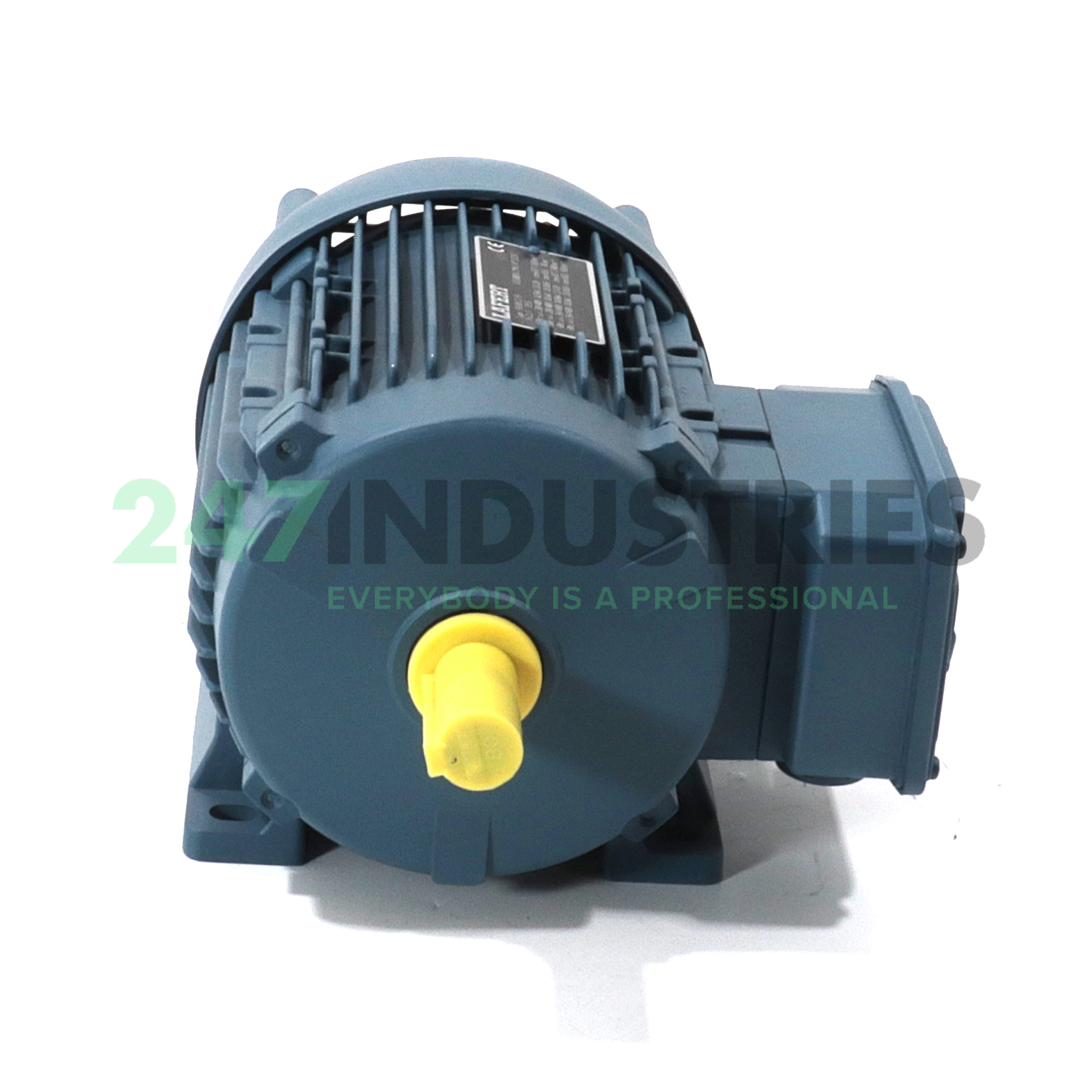 FB80C2/8B3 Lafert Image 2