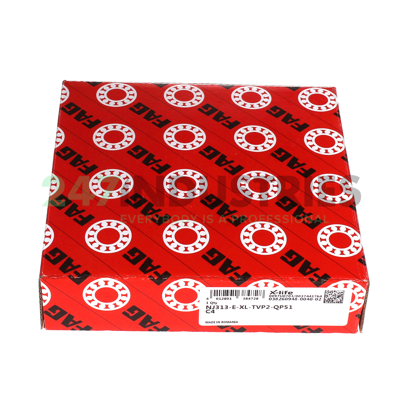 NJ313-E-XL-TVP2-QP51-C4 FAG Image 4