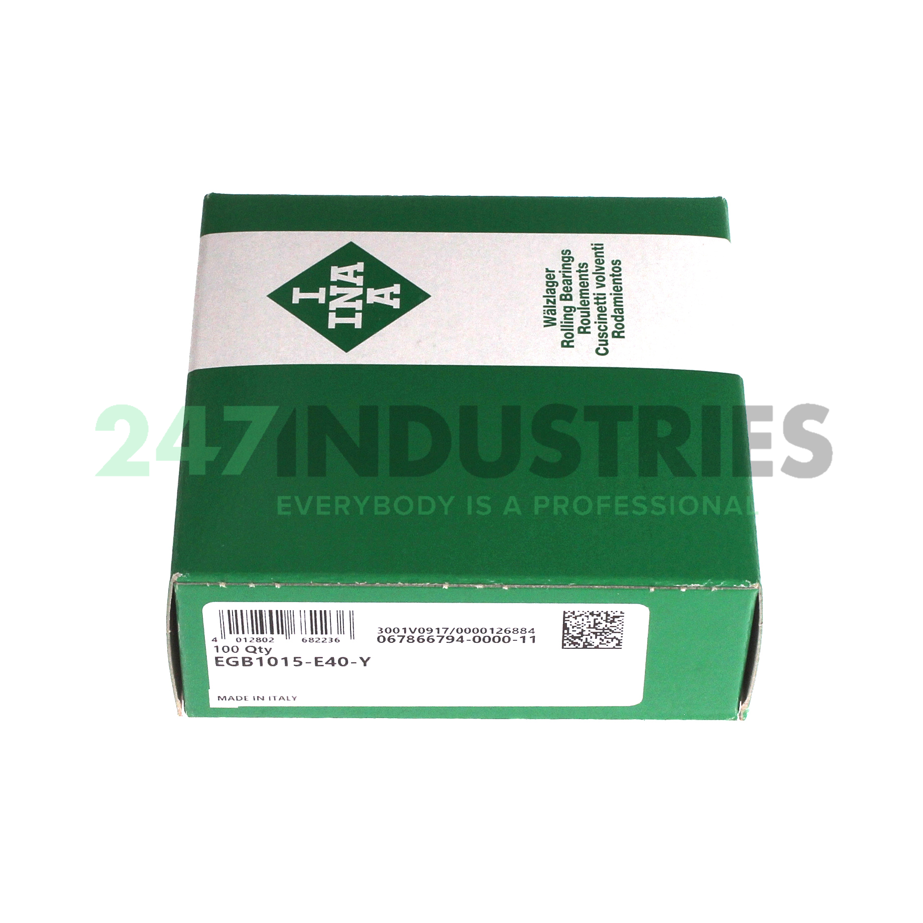 EGB1015-E40-Y INA Image 3
