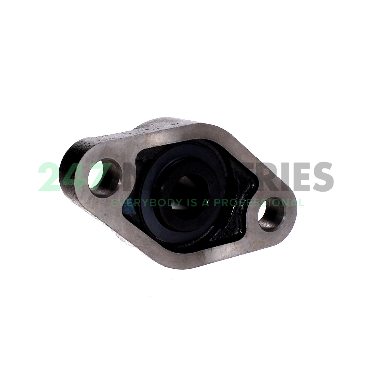 UCFL205-13-J7 FAG Image 2