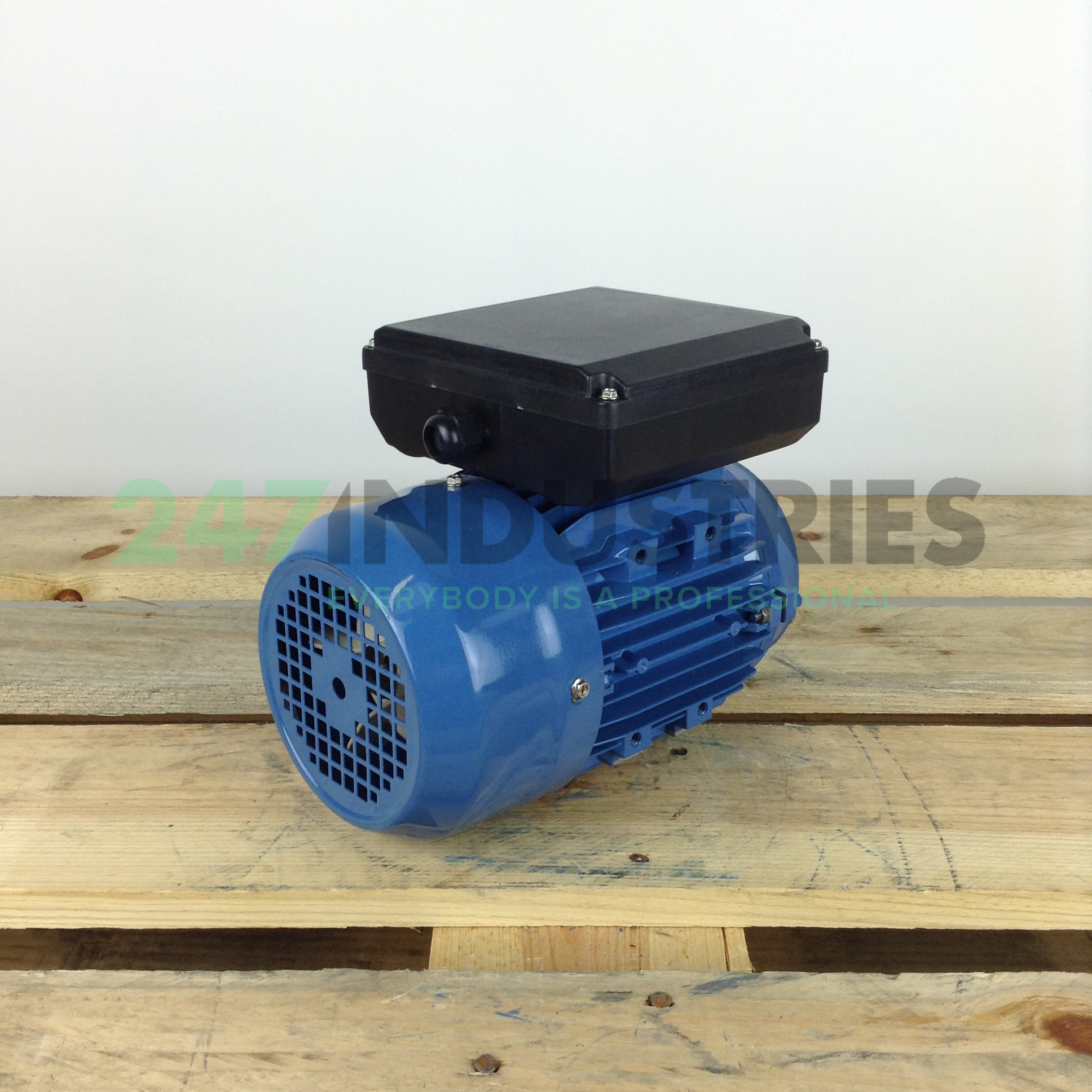 ML8024B14 Gibbons Image 3