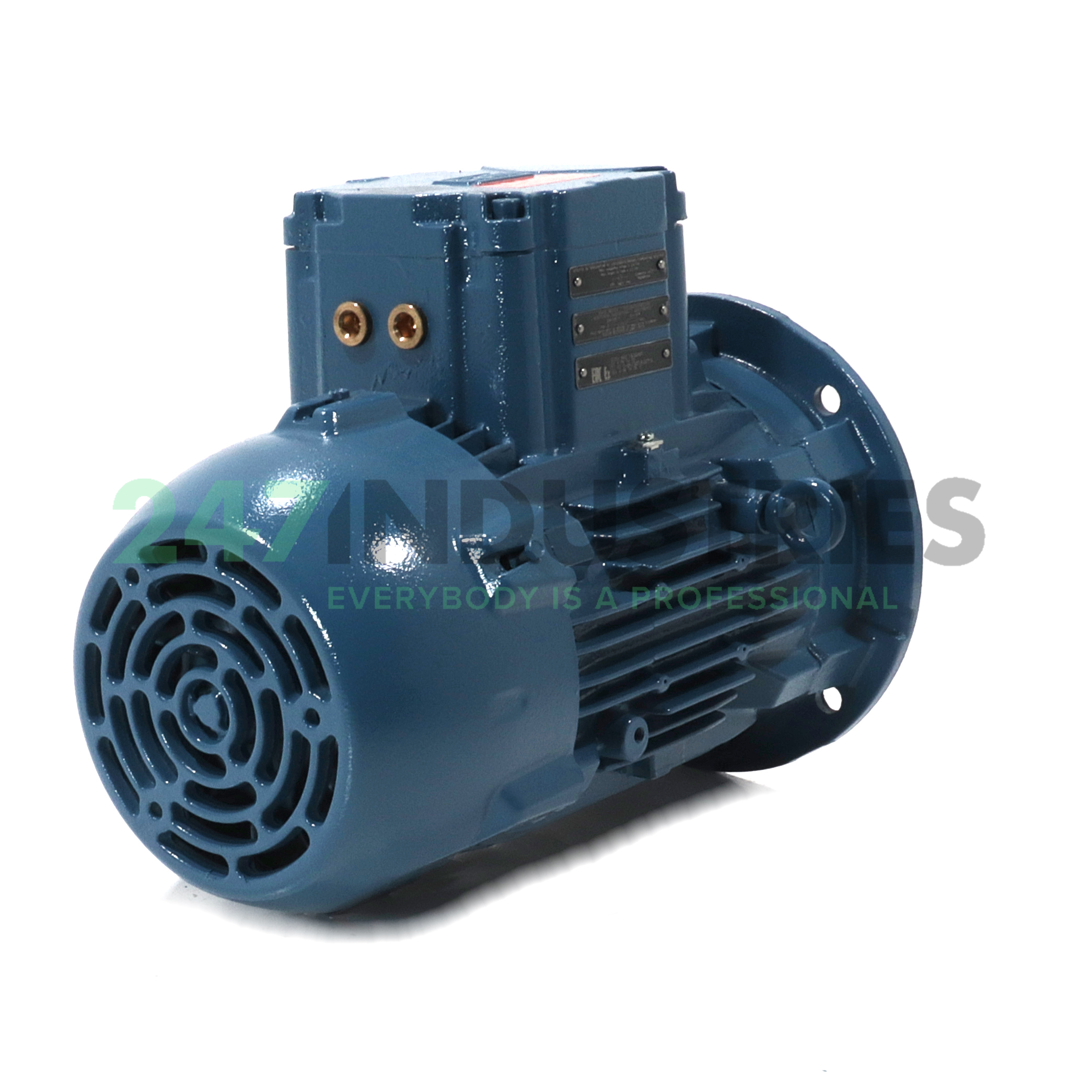 0.75K31CI2100L8B52G WEG Image 3