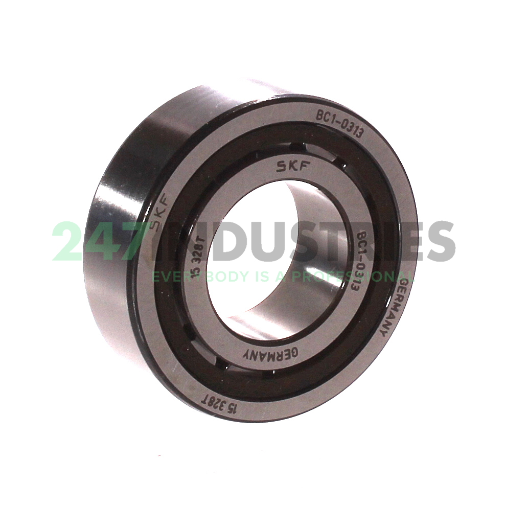 BC1-0313 SKF