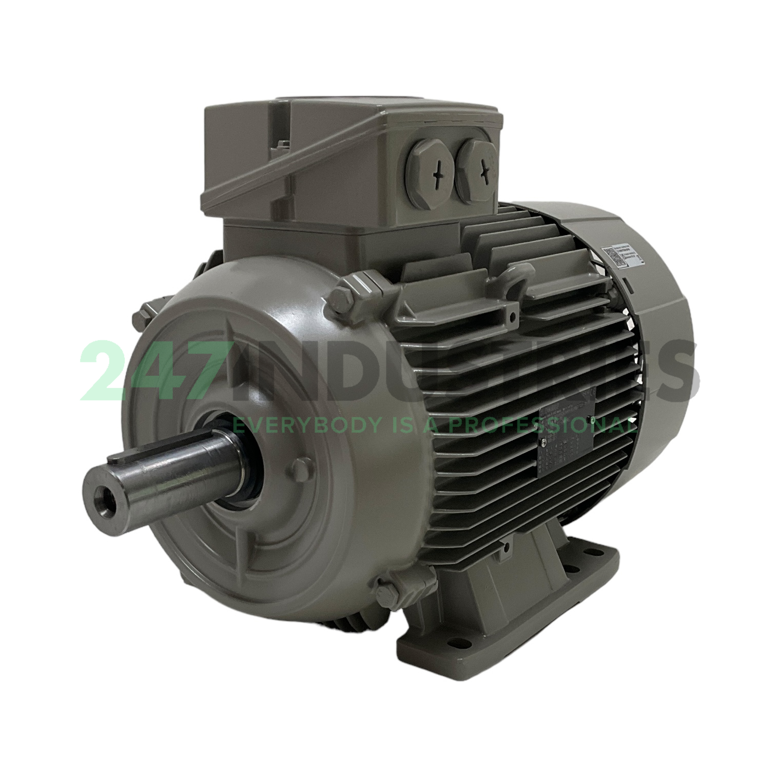 1LE1004-1CB23-4AB4 Siemens