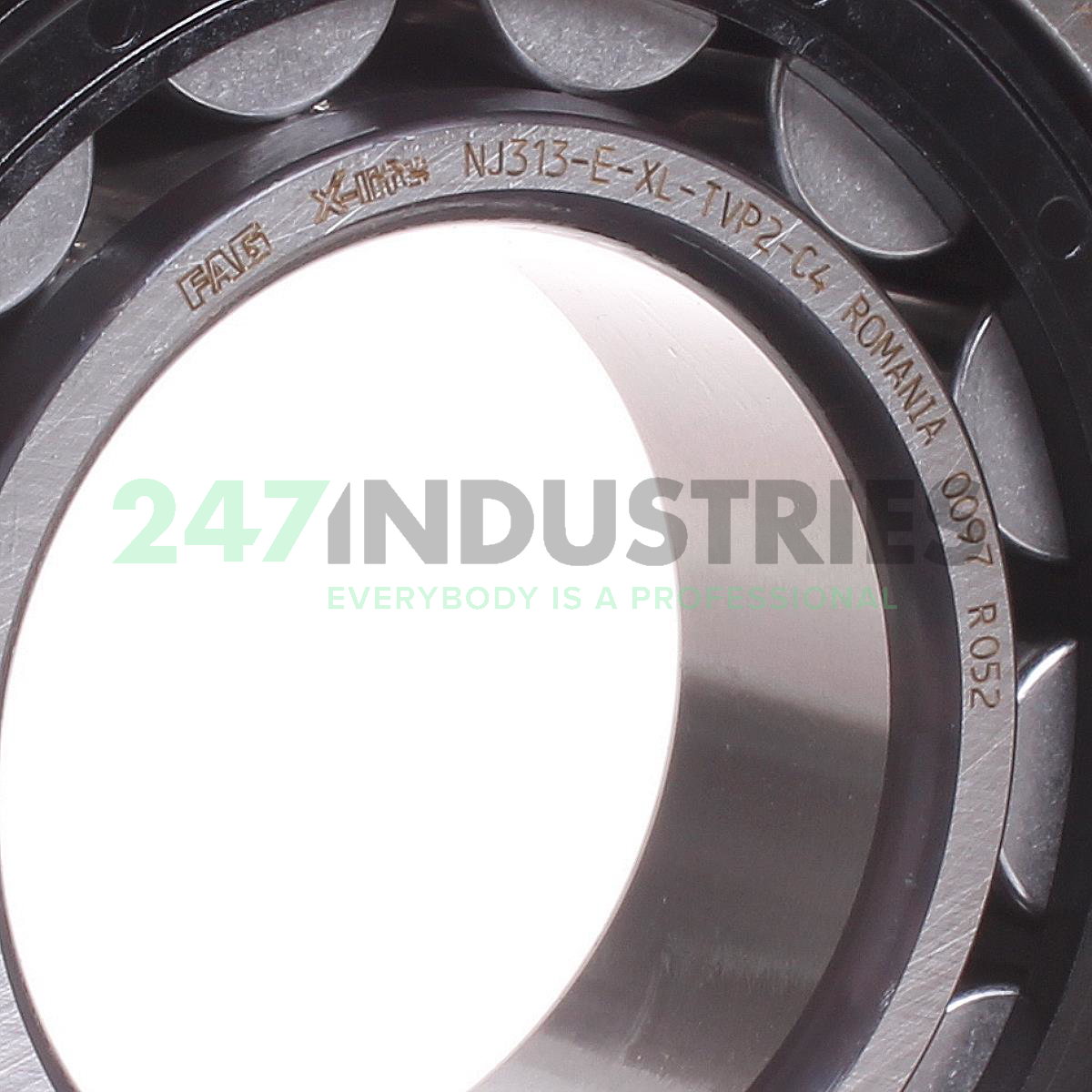 NJ313-E-XL-TVP2-C4 FAG Image 2