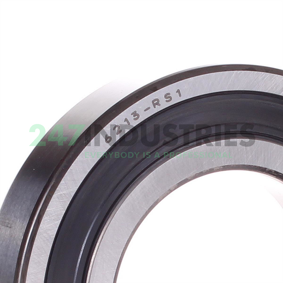 6213-RS1 SKF Image 2
