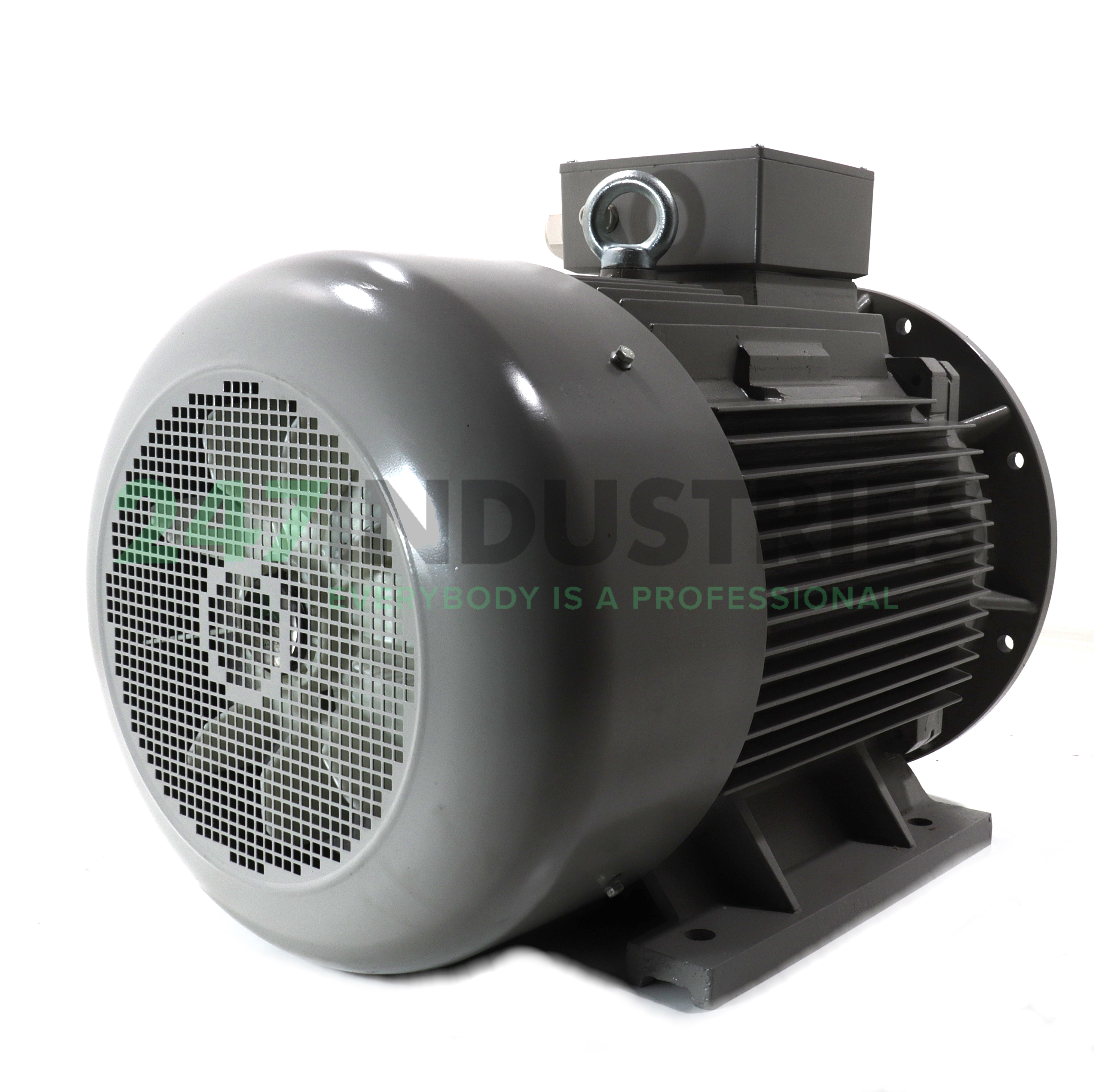 FCMP280S-4/PHEB35 AC-Motoren GmbH Image 3