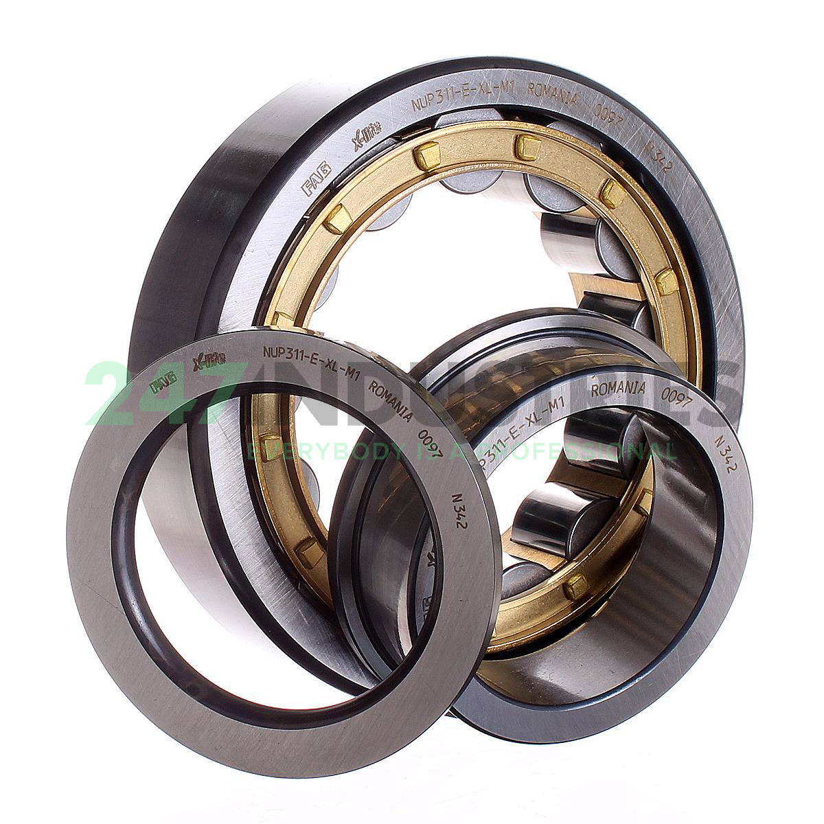 NUP311-E-XL-M1 FAG Image 2