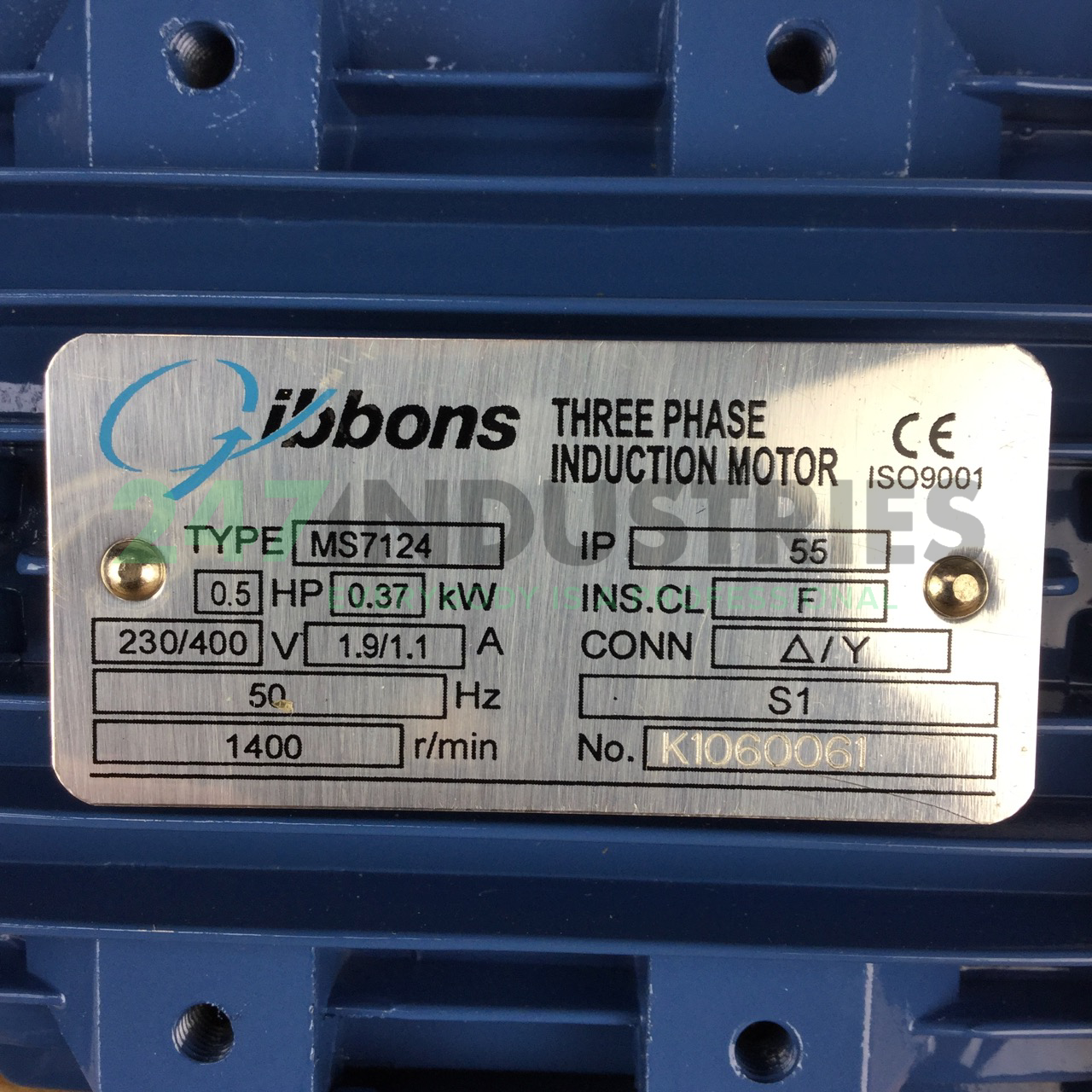 MS7124B35 Gibbons Image 2