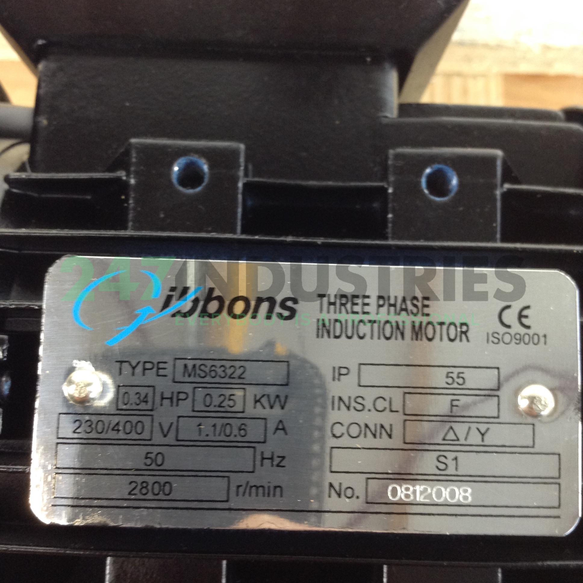 MS6322B35 Gibbons Image 2