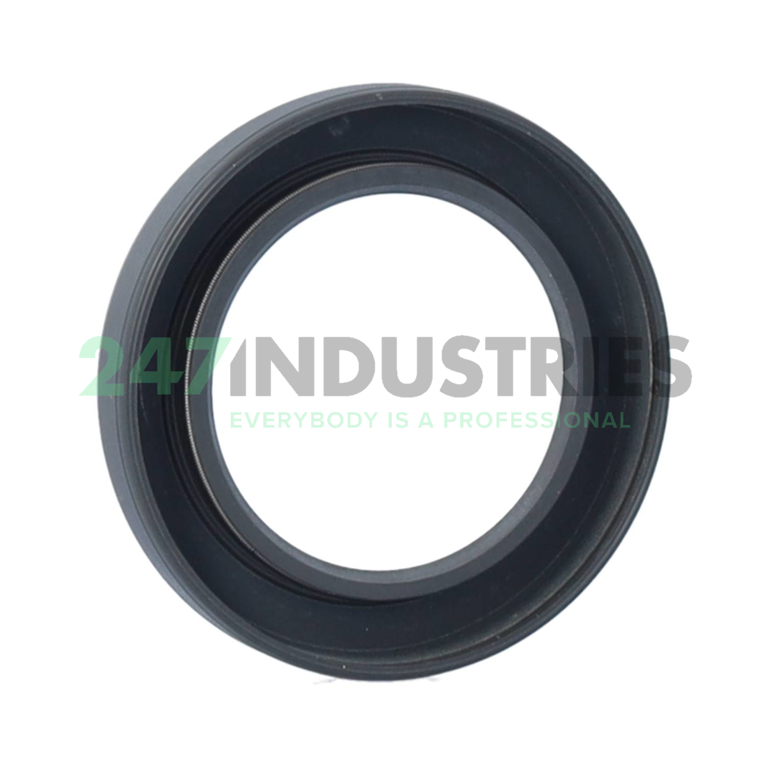 40X60X8HMS5RG SKF Image 2