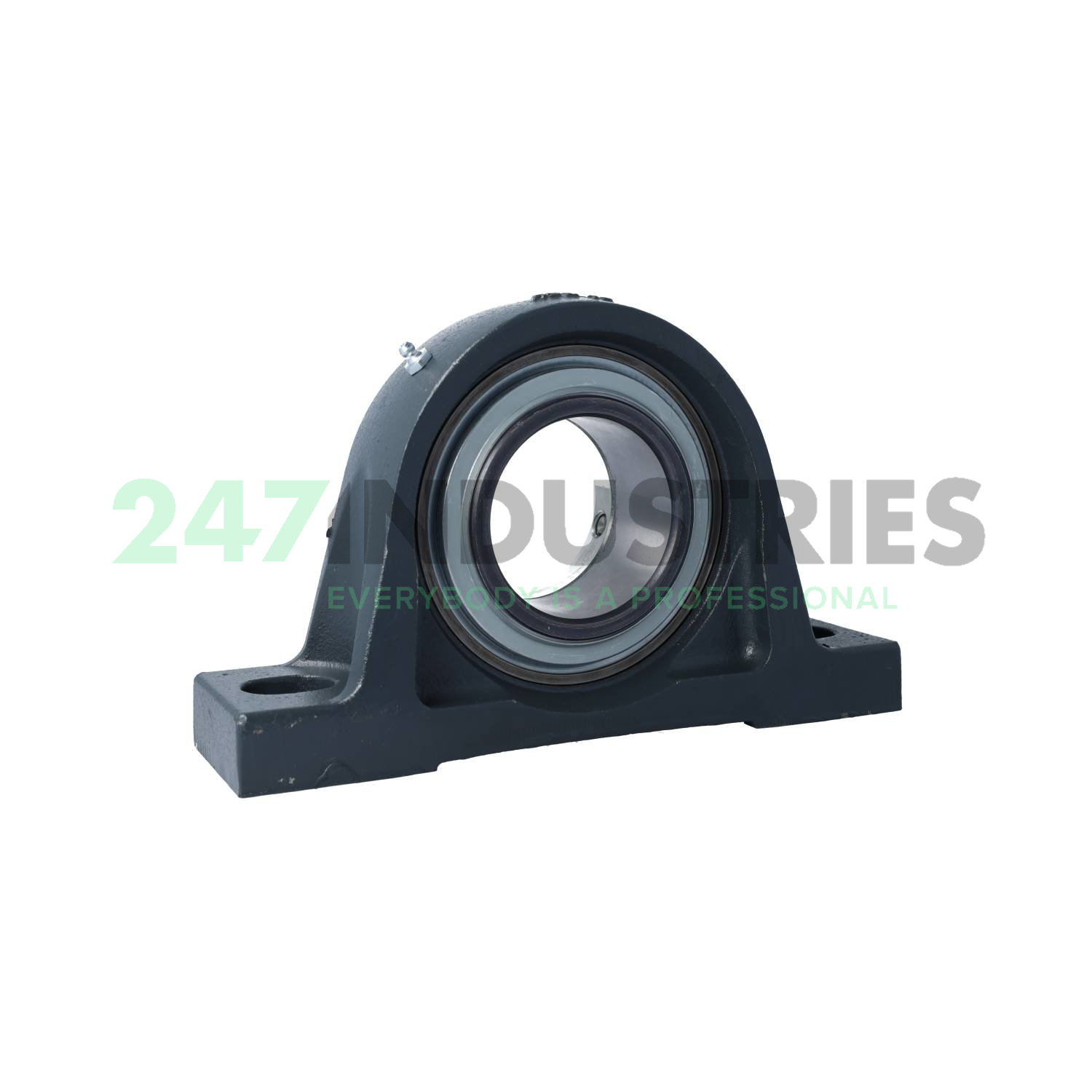 RASE80-FA164-AH01 INA Image 2