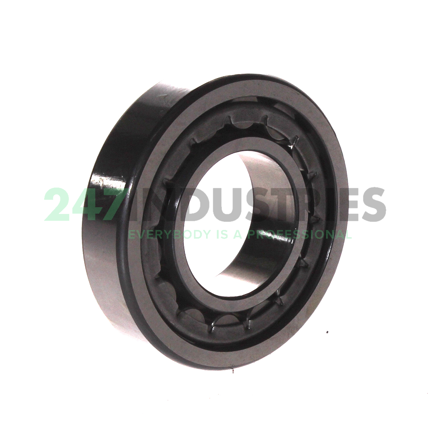 NU207-E-XL-JP1 FAG Image 2