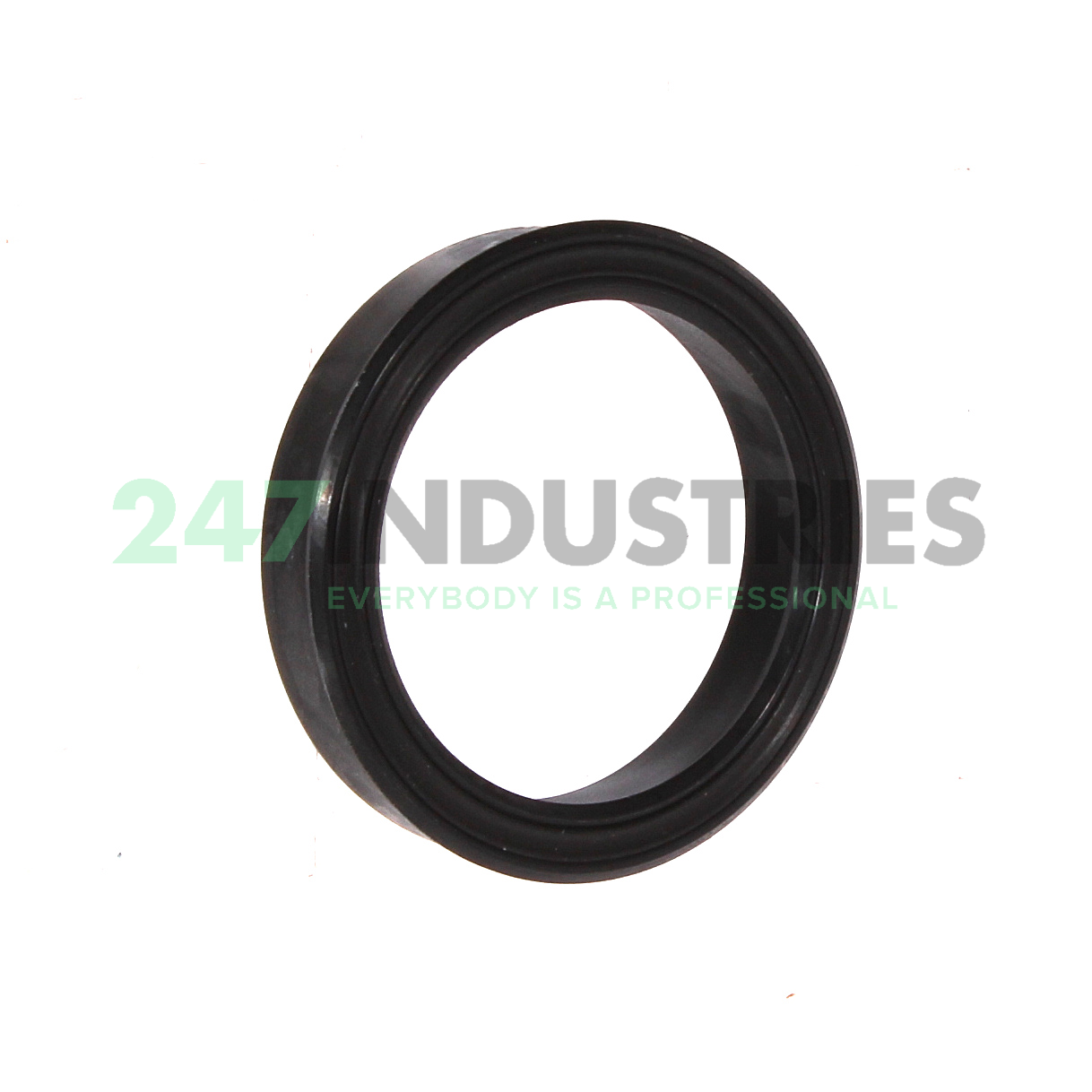 PTB187-1562-375-J1S SKF