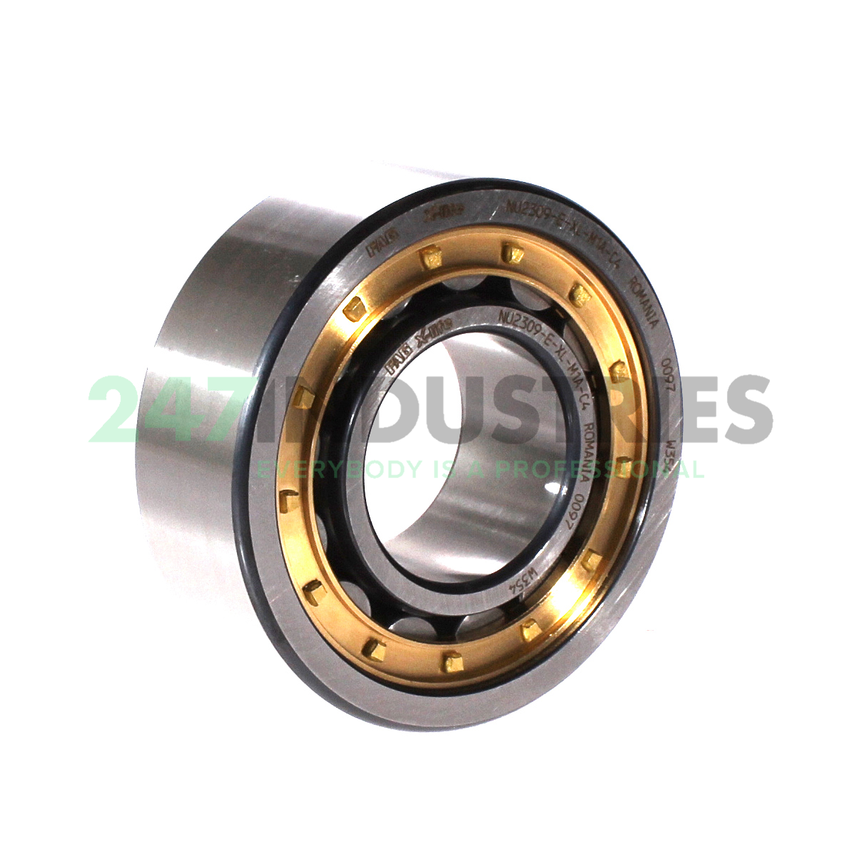 NU2309-E-XL-M1A-C4 FAG