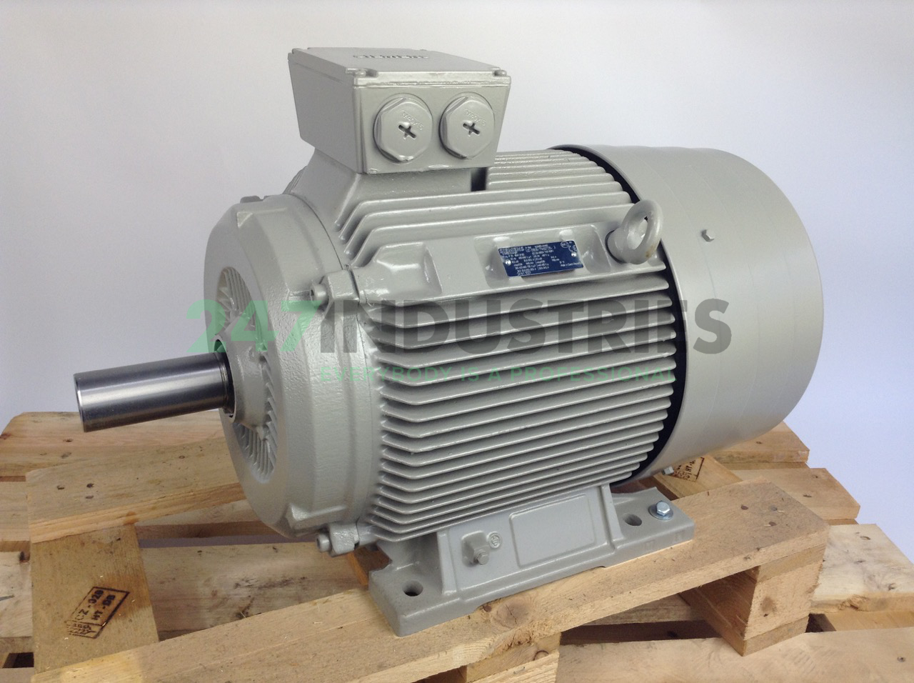 1LG4183-4AA60 Siemens