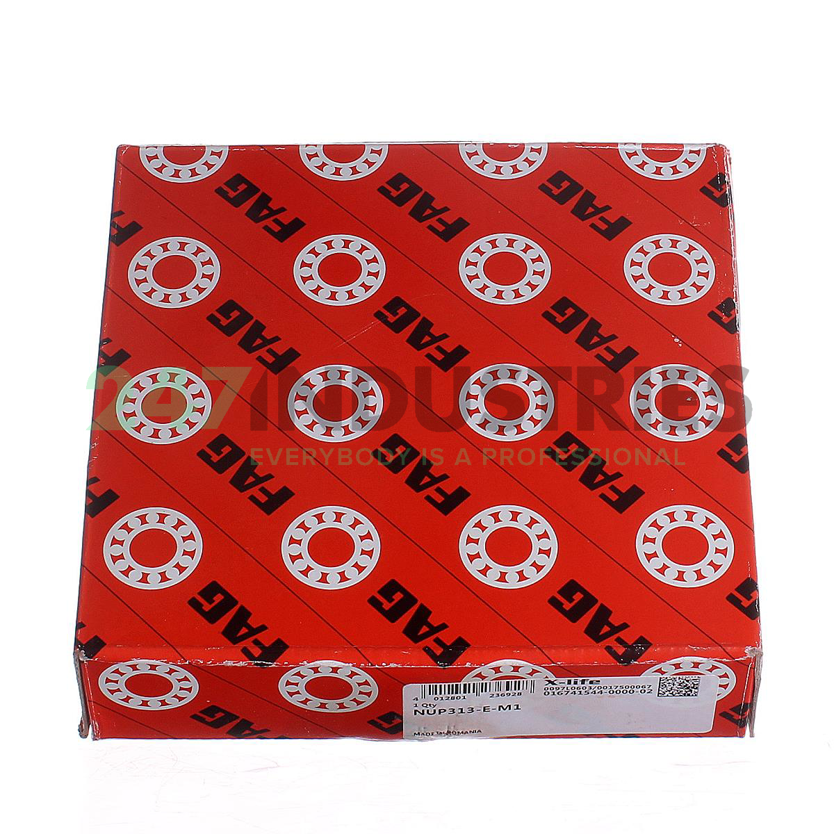 NUP313-E-M1 FAG Image 5