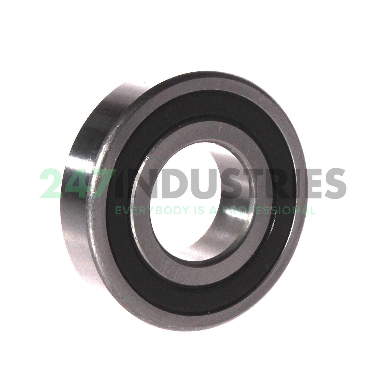 RLS9 2RS FBJ Image 2