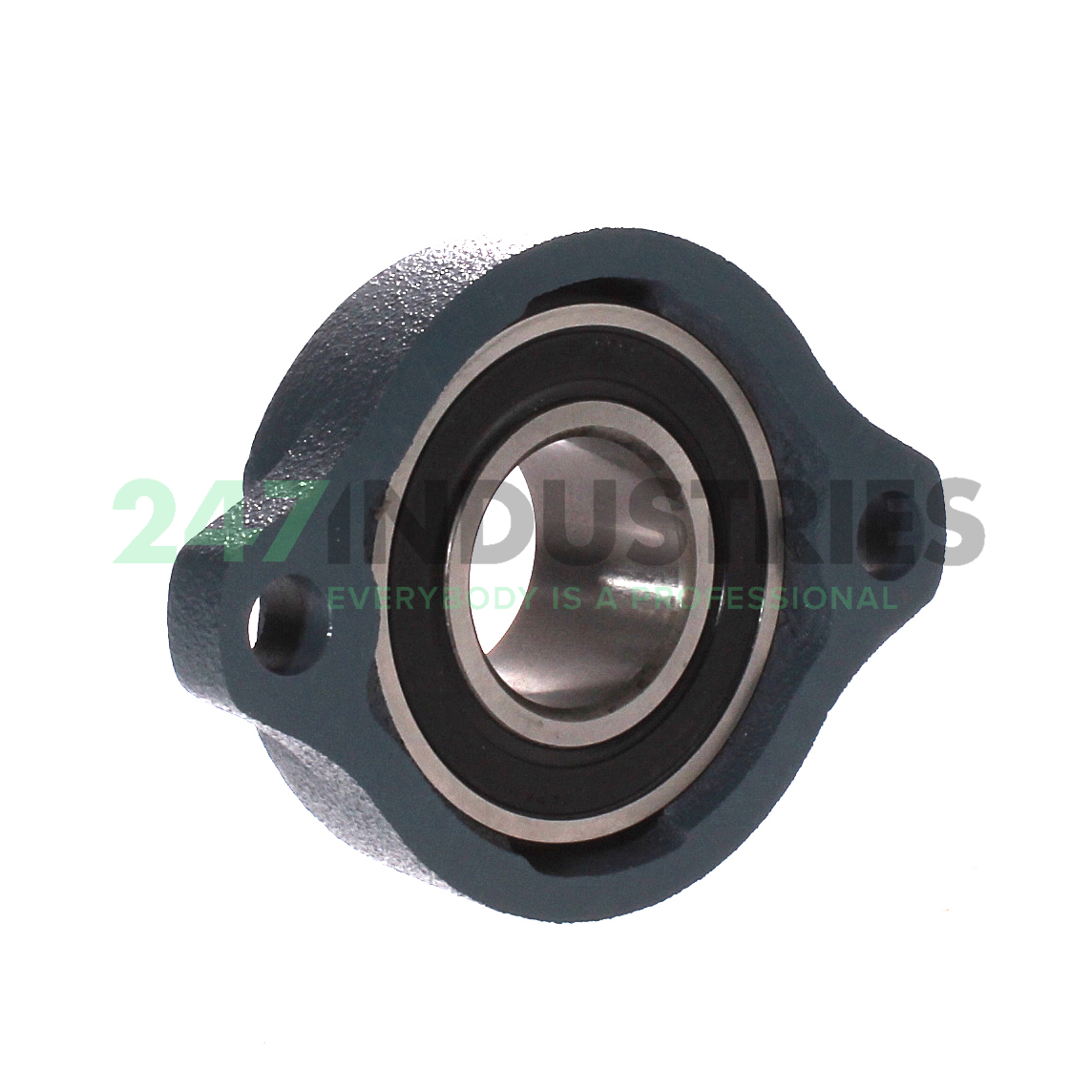 BLFL7J Asahi Image 3