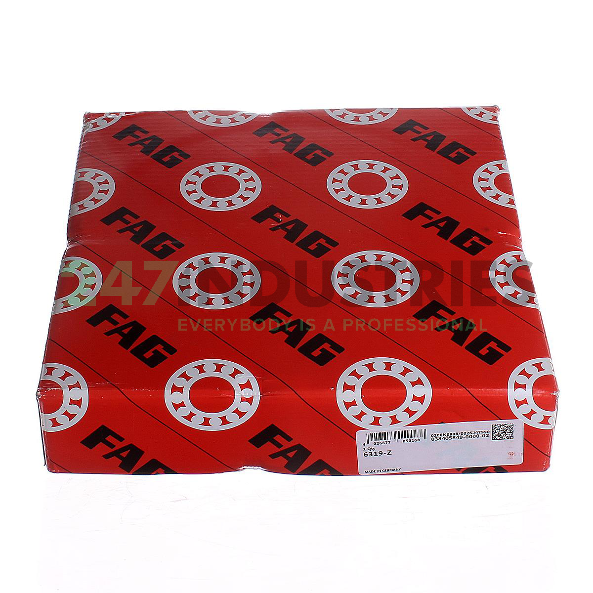 6319-Z FAG Image 5