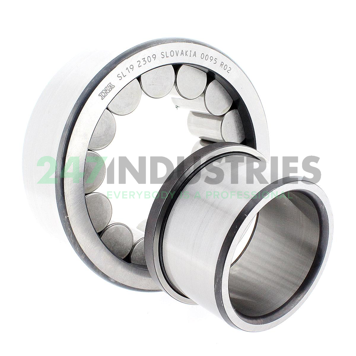 SL192309 INA Image 2