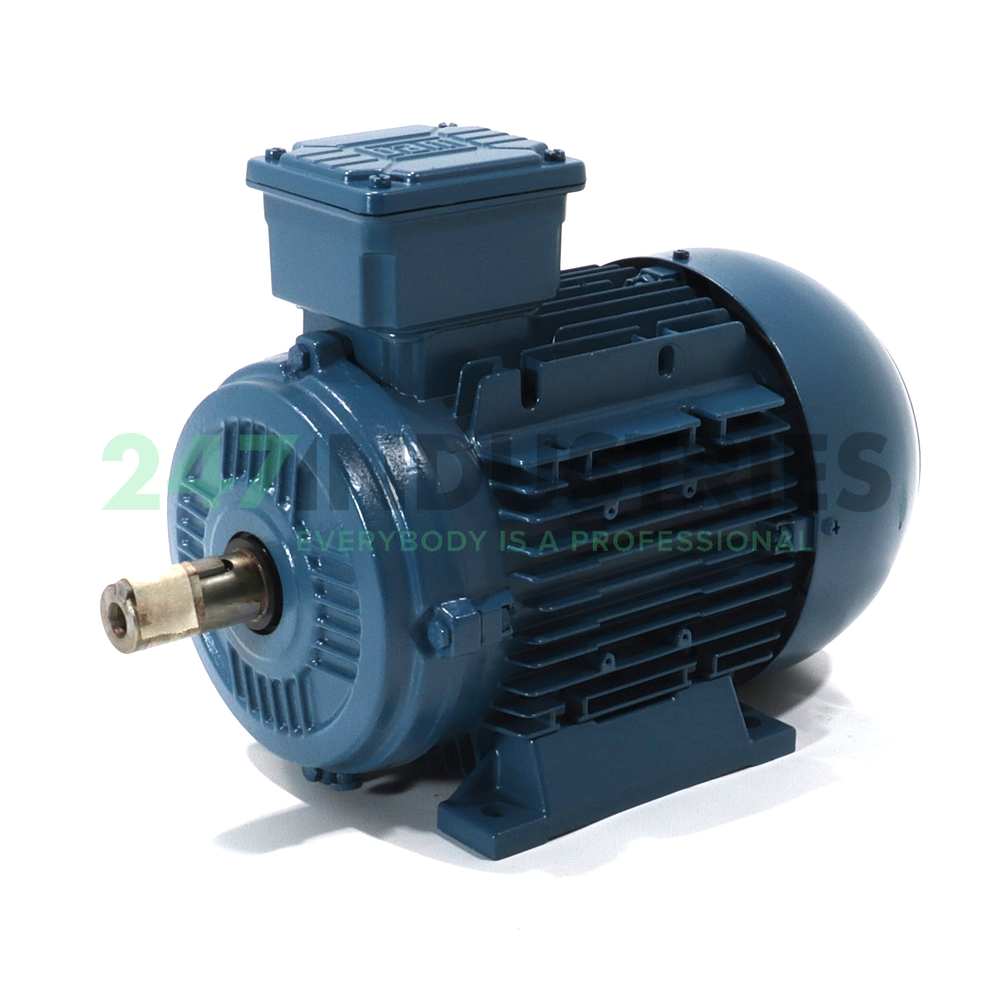 0.75K31AL0100L8B3 WEG