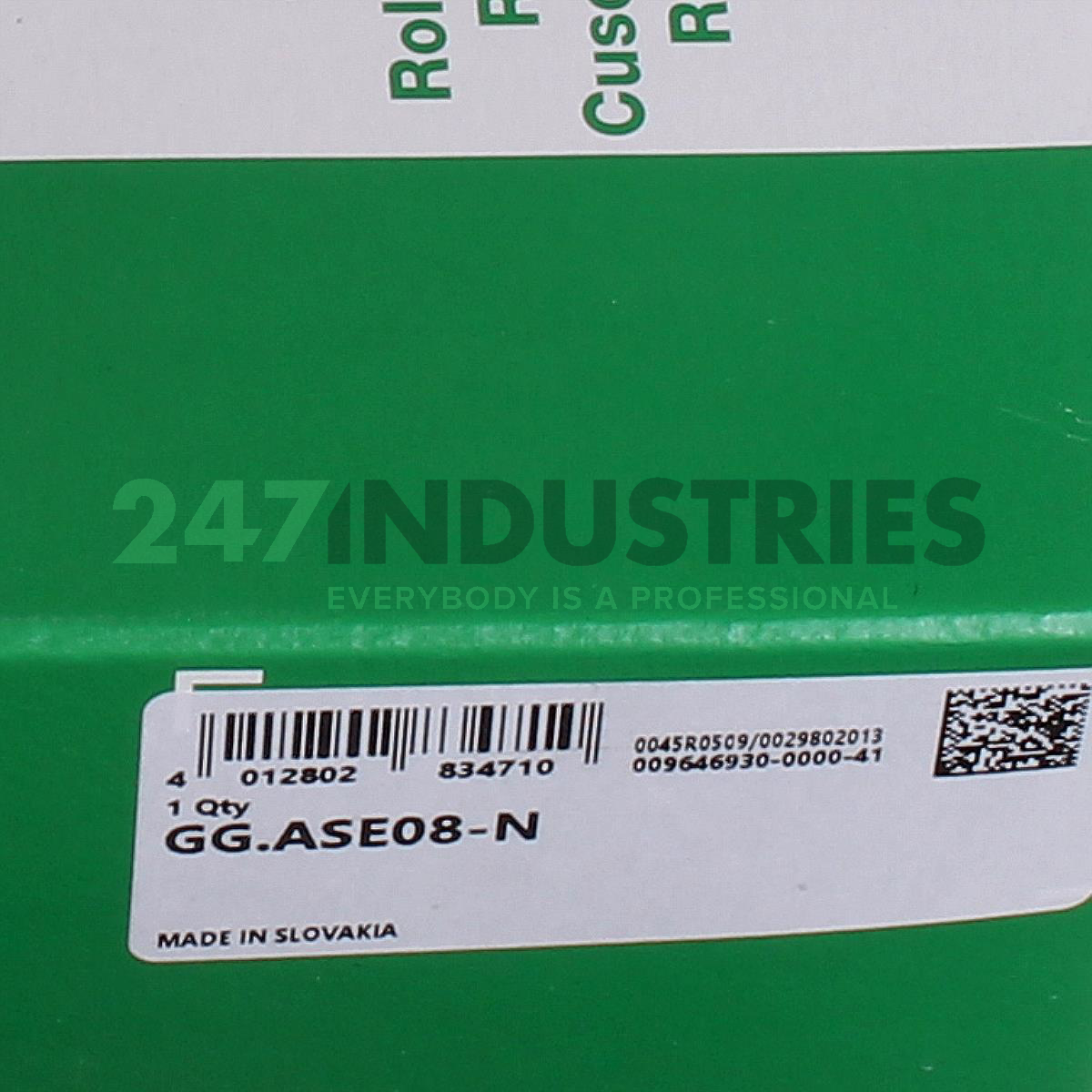 GG.ASE08-N INA Image 5