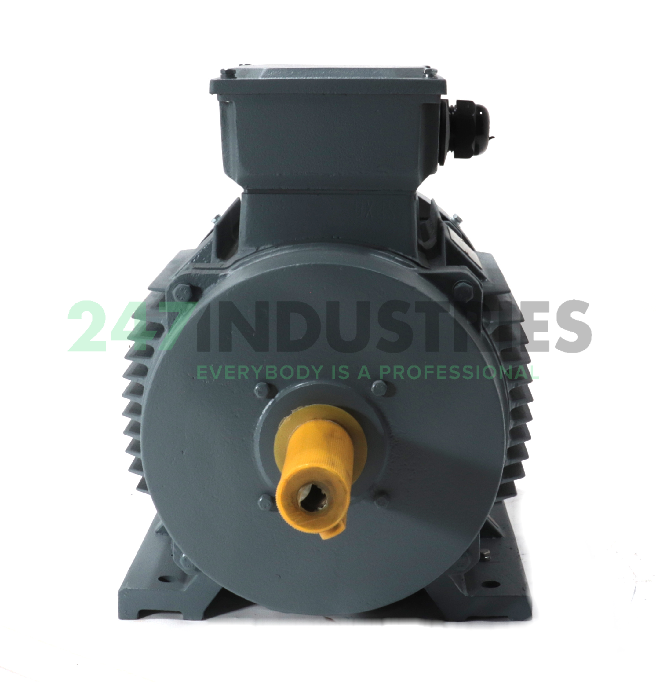 161J1424-B3 Fenner Image 2