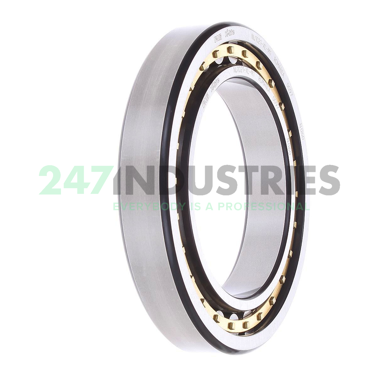 NU1021-XL-M1 FAG Image 4