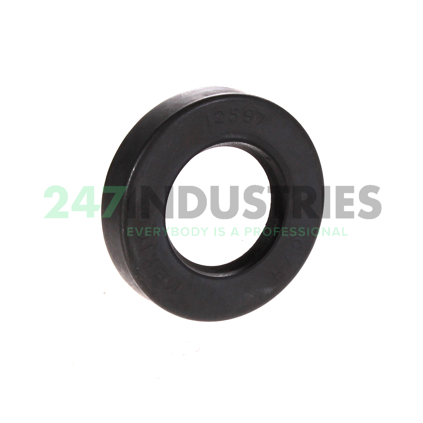 12597 SKF Image 1