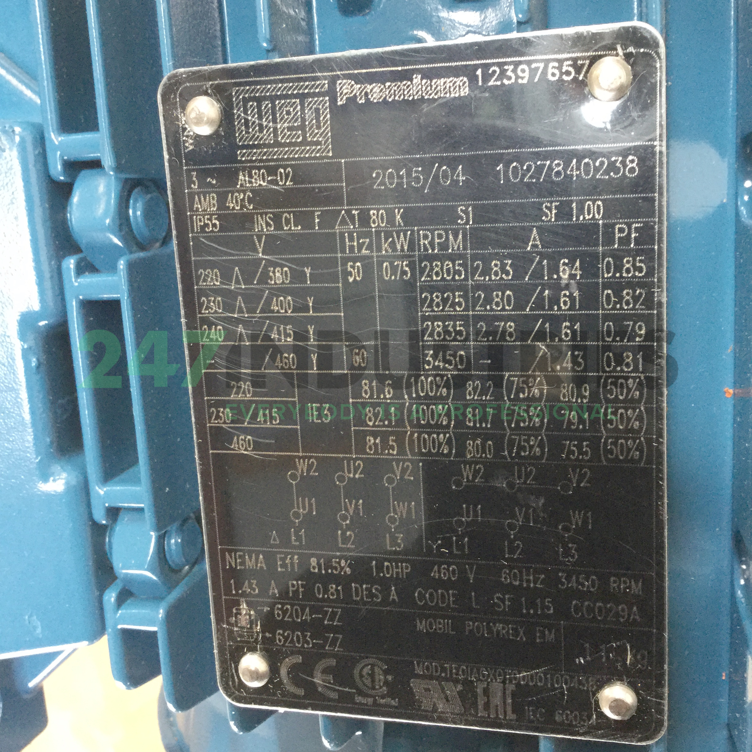 0.75K31AL3802B3 WEG Image 4