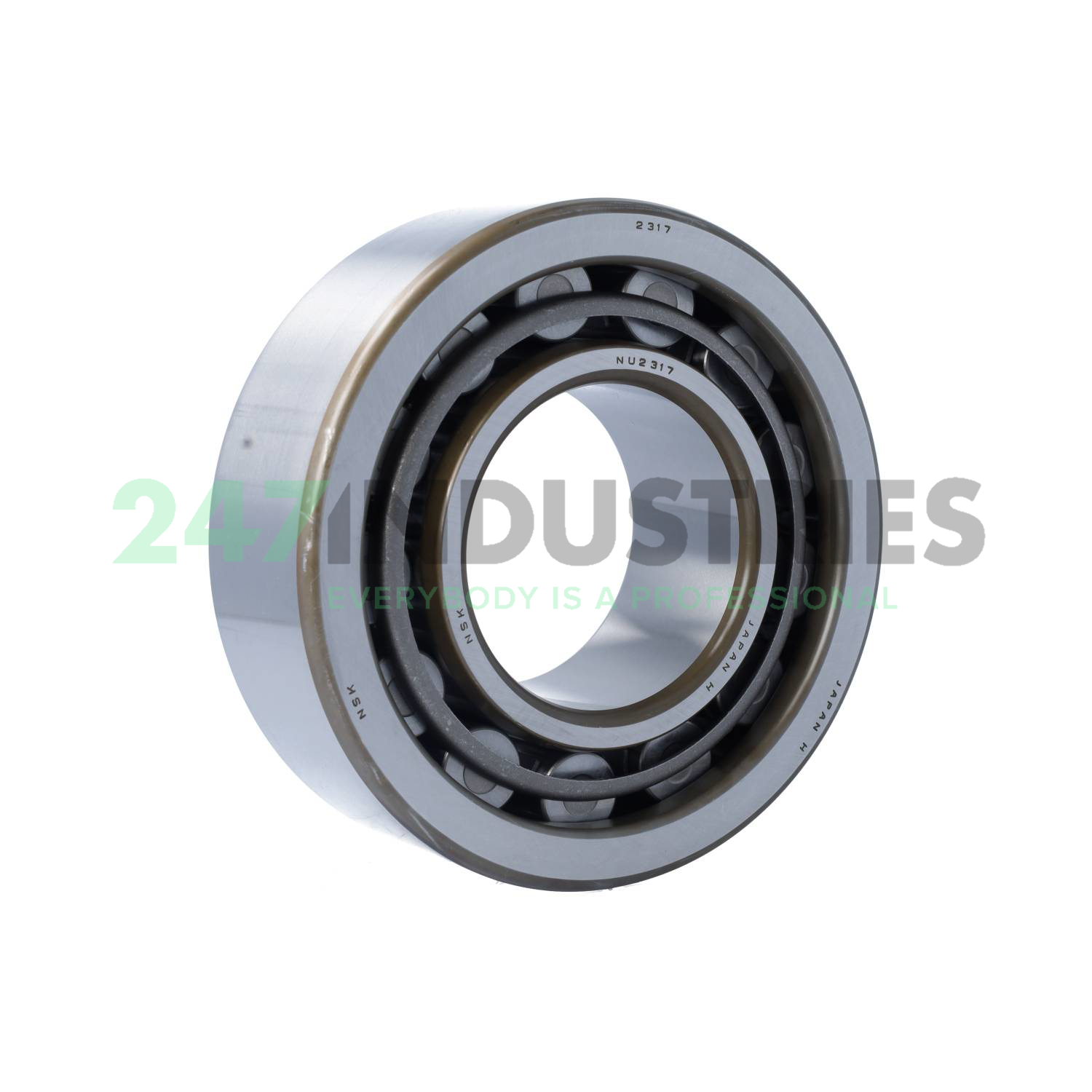 NU2317W NSK