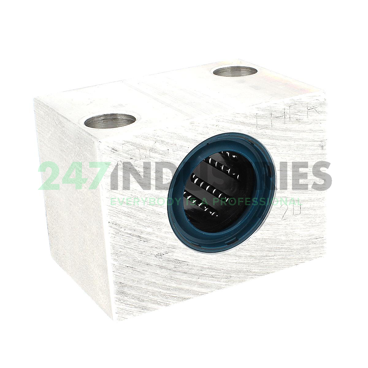 LUER20 SKF Image 1