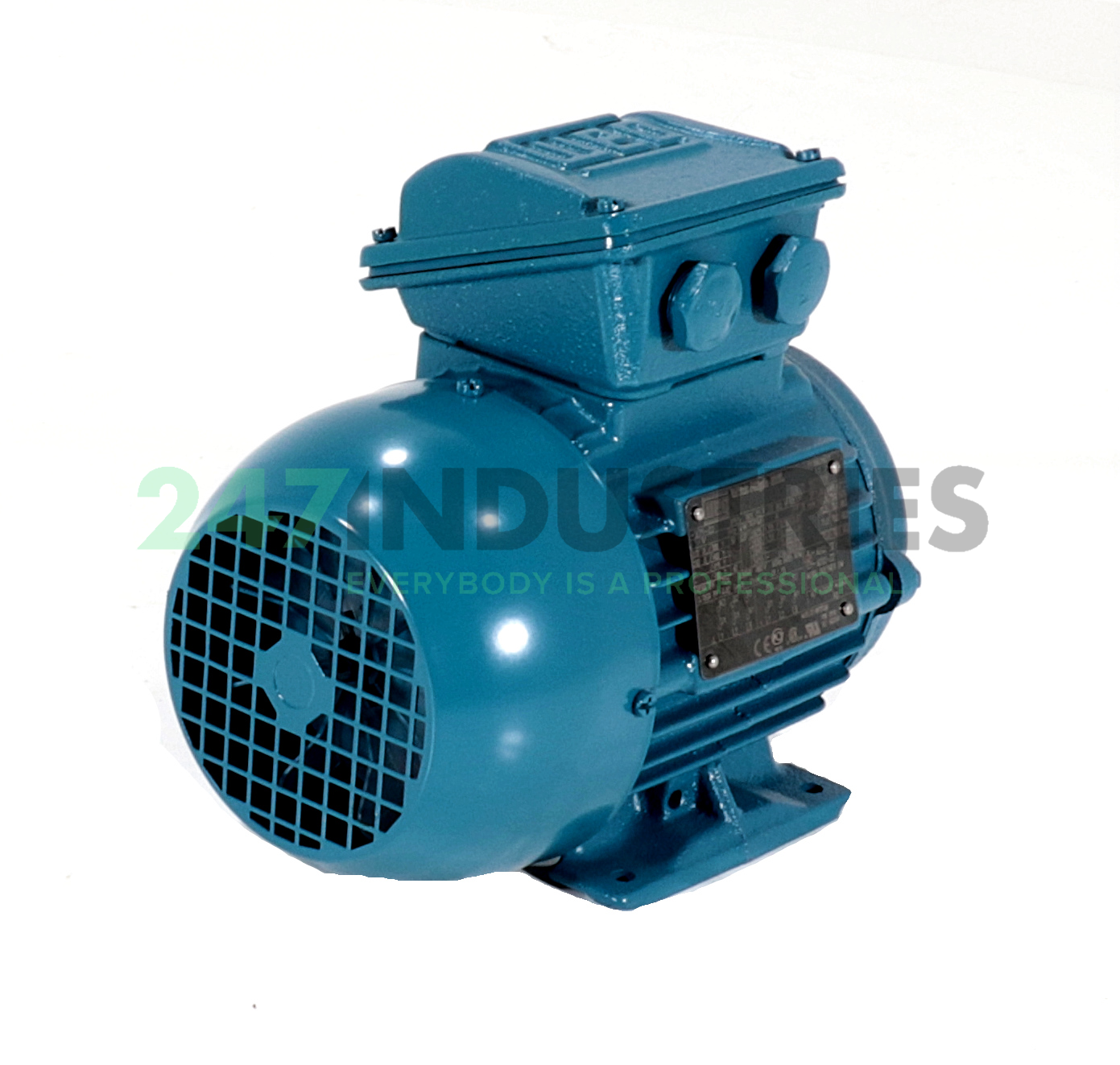 0.37K31CI2712B34 WEG Image 3