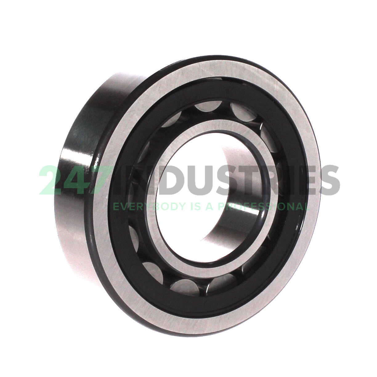 NU309-E-XL-TVP2-C4 FAG Image 2