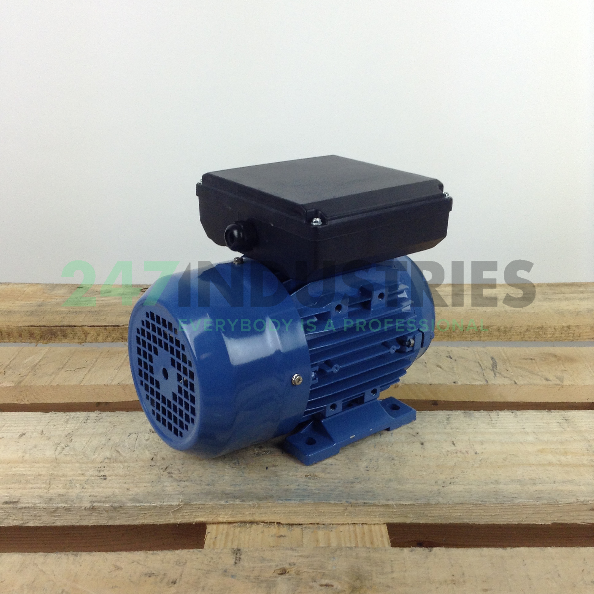 ML8024B34 Gibbons Image 3