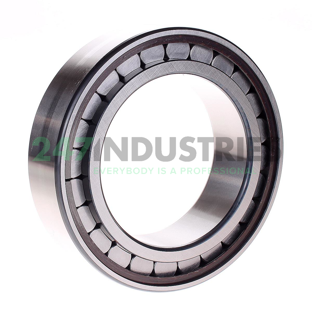 SL183018-A-C3 INA Image 2