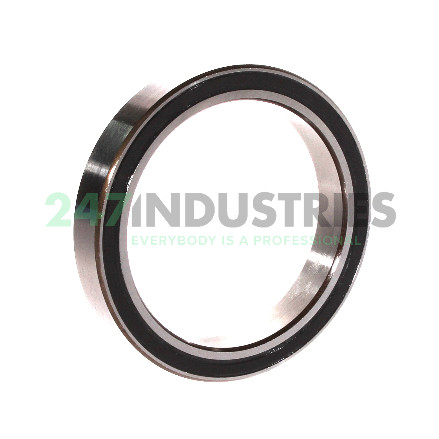 3814 2RS INA Image 2