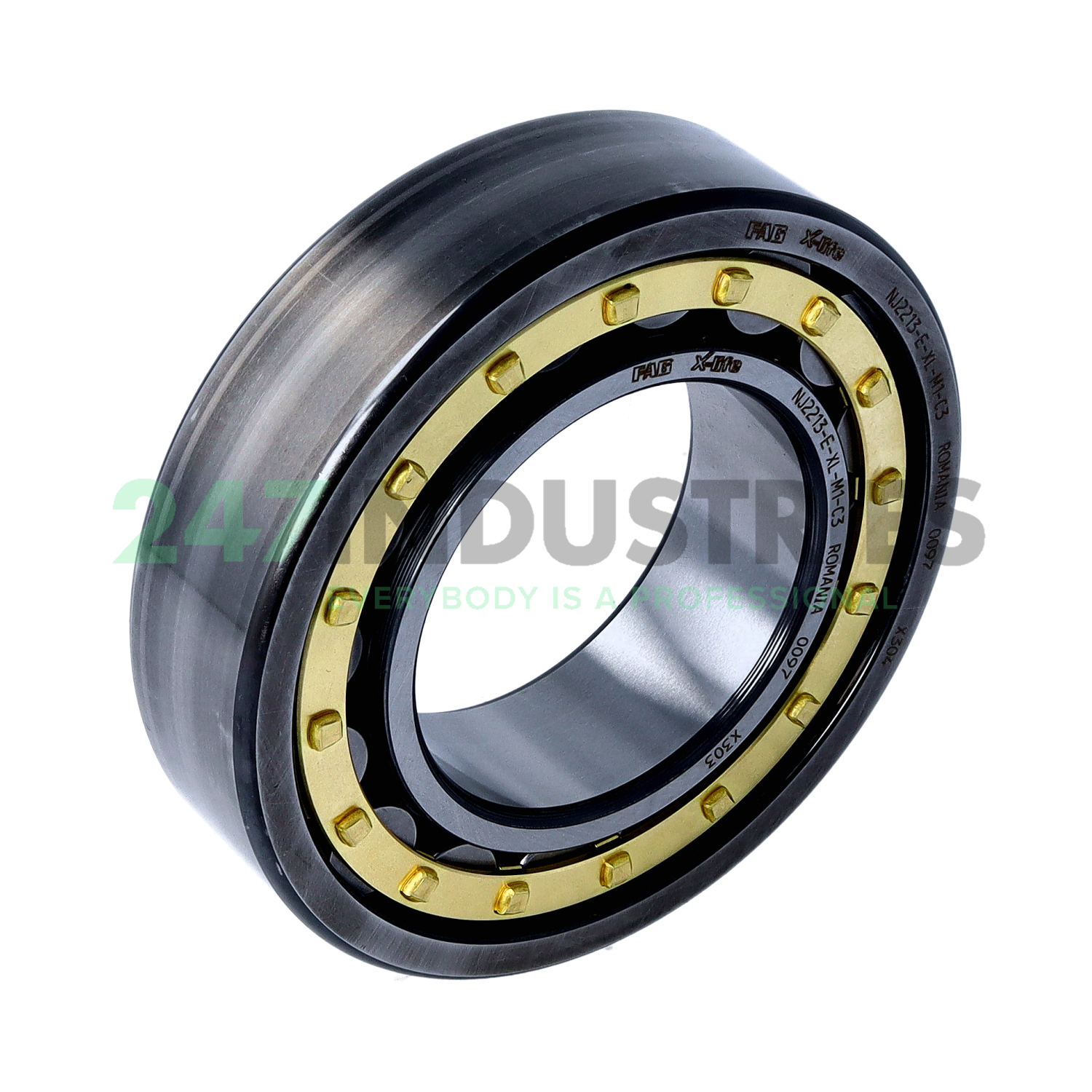 NJ2213-E-XL-M1-C3 FAG