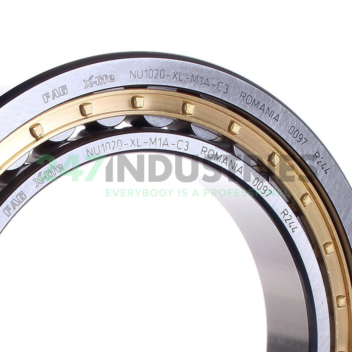 NU1020-XL-M1A-C3 FAG Image 2