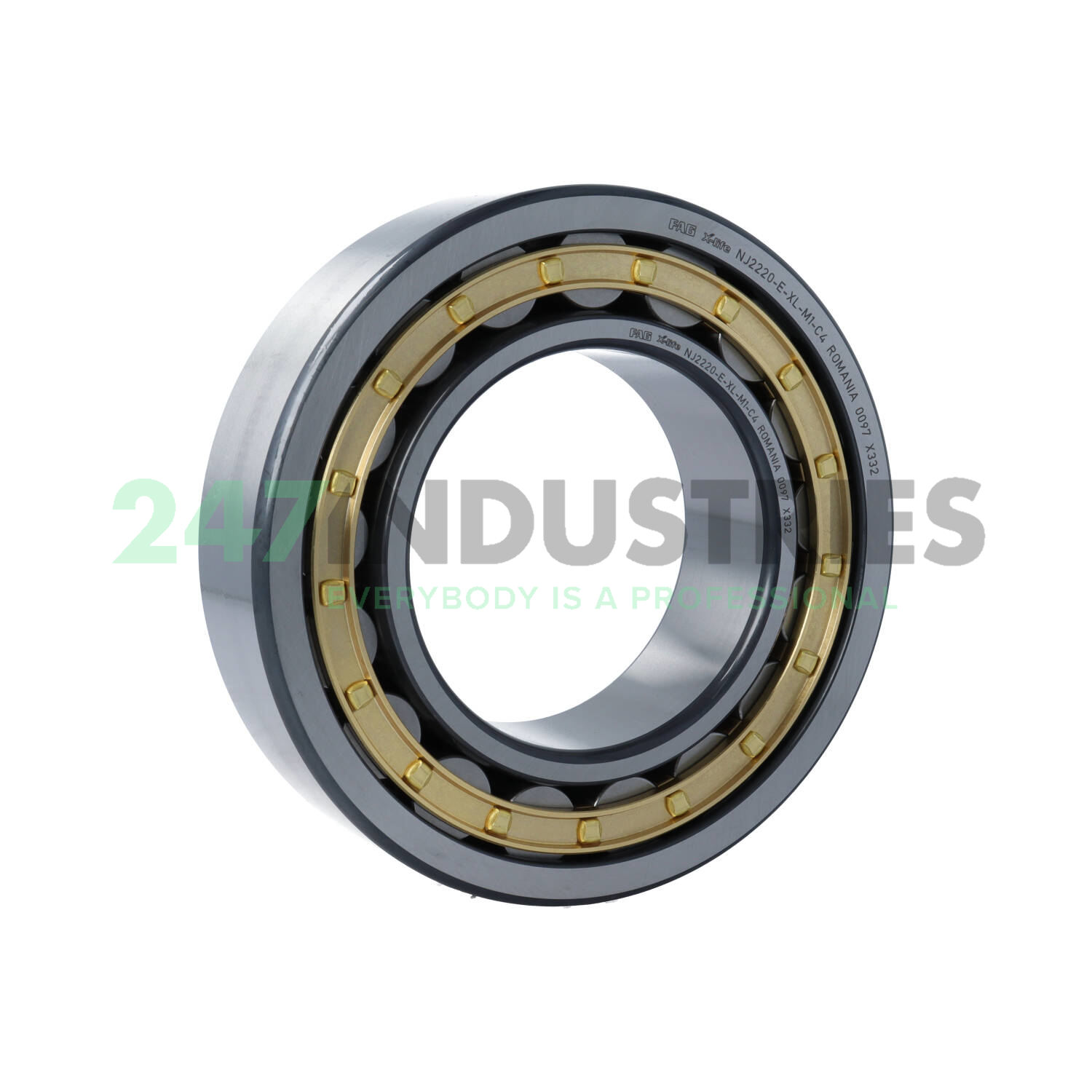 NJ2220-E-XL-M1-C4 FAG