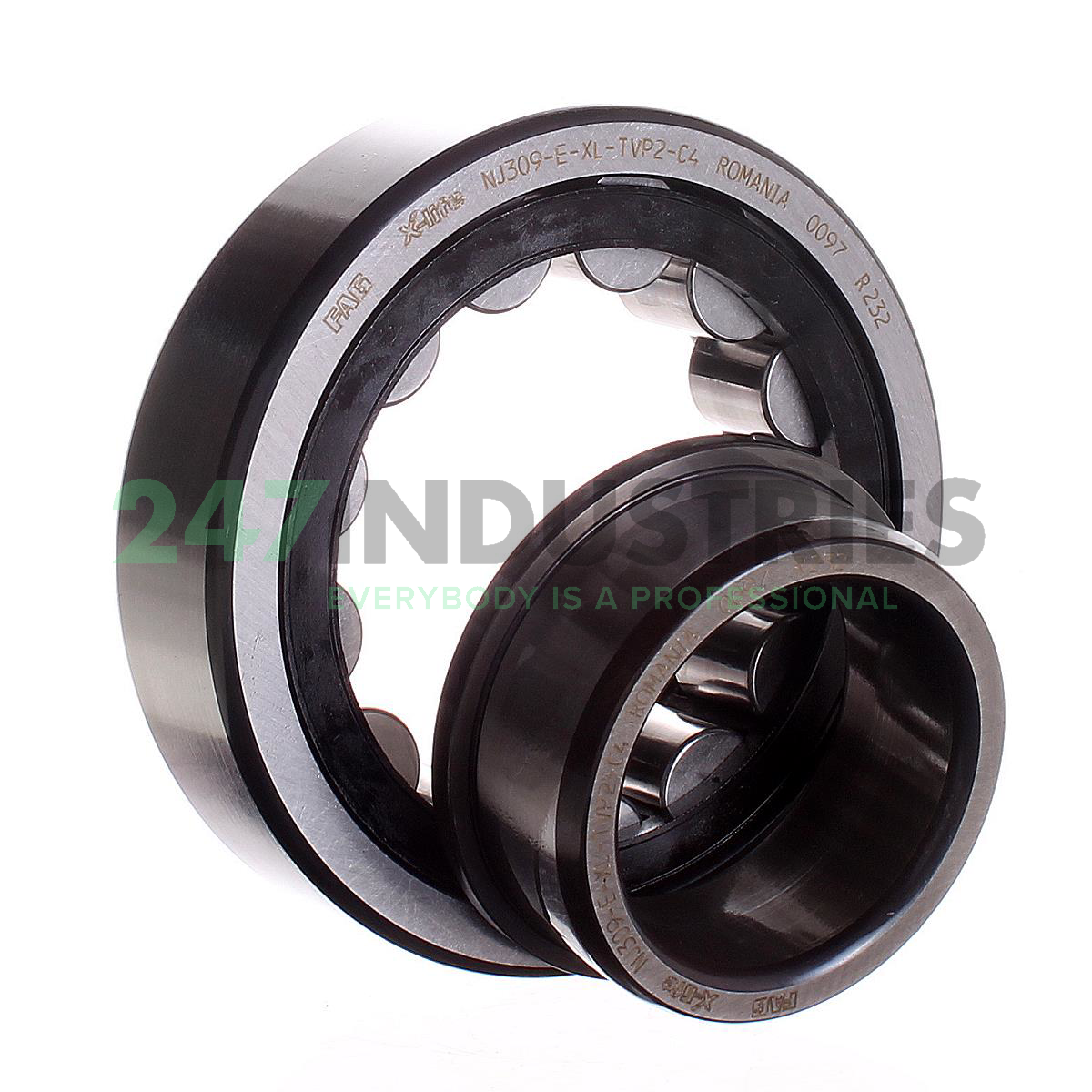 NJ309-E-XL-TVP2-C4 FAG Image 3