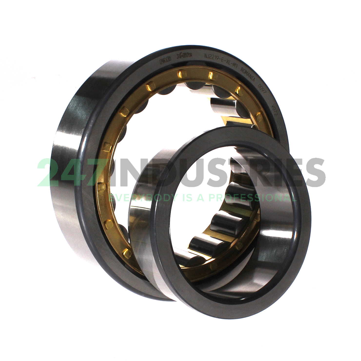 NJ2219-E-XL-M1 FAG Image 3