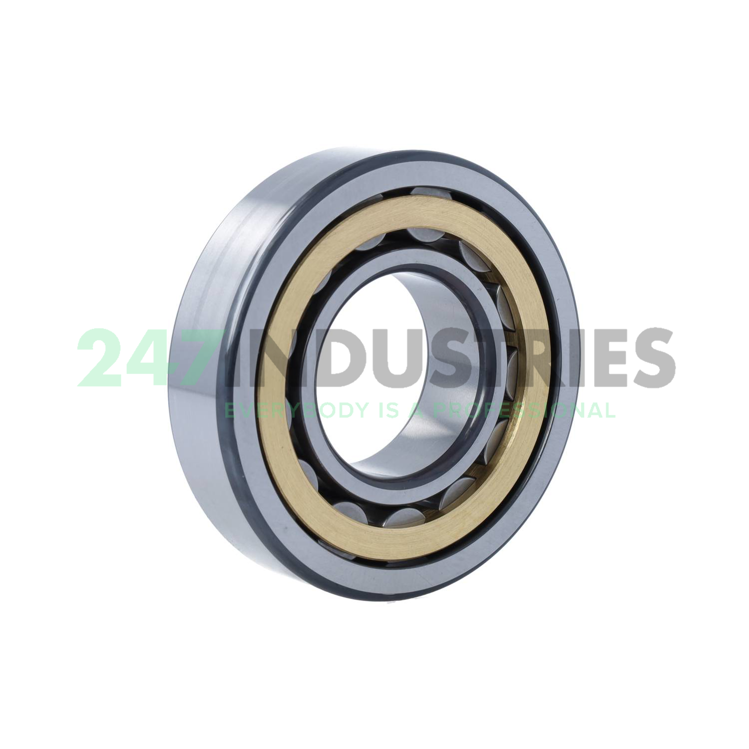 NU310-E-XL-M1-F1-C4 FAG Image 2