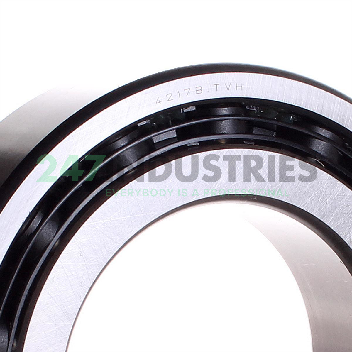 4217B.TVH FAG Image 2