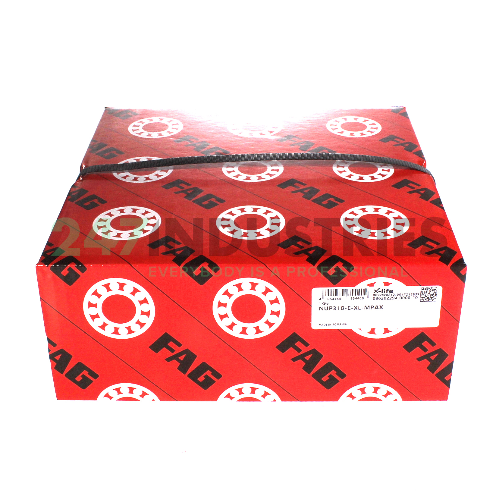 NUP318-E-XL-MPAX FAG Image 4